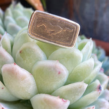 Load image into Gallery viewer, ‘67 Mustang Ring