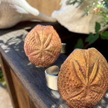 Load image into Gallery viewer, Sand Dollar Bracelet Cuff
