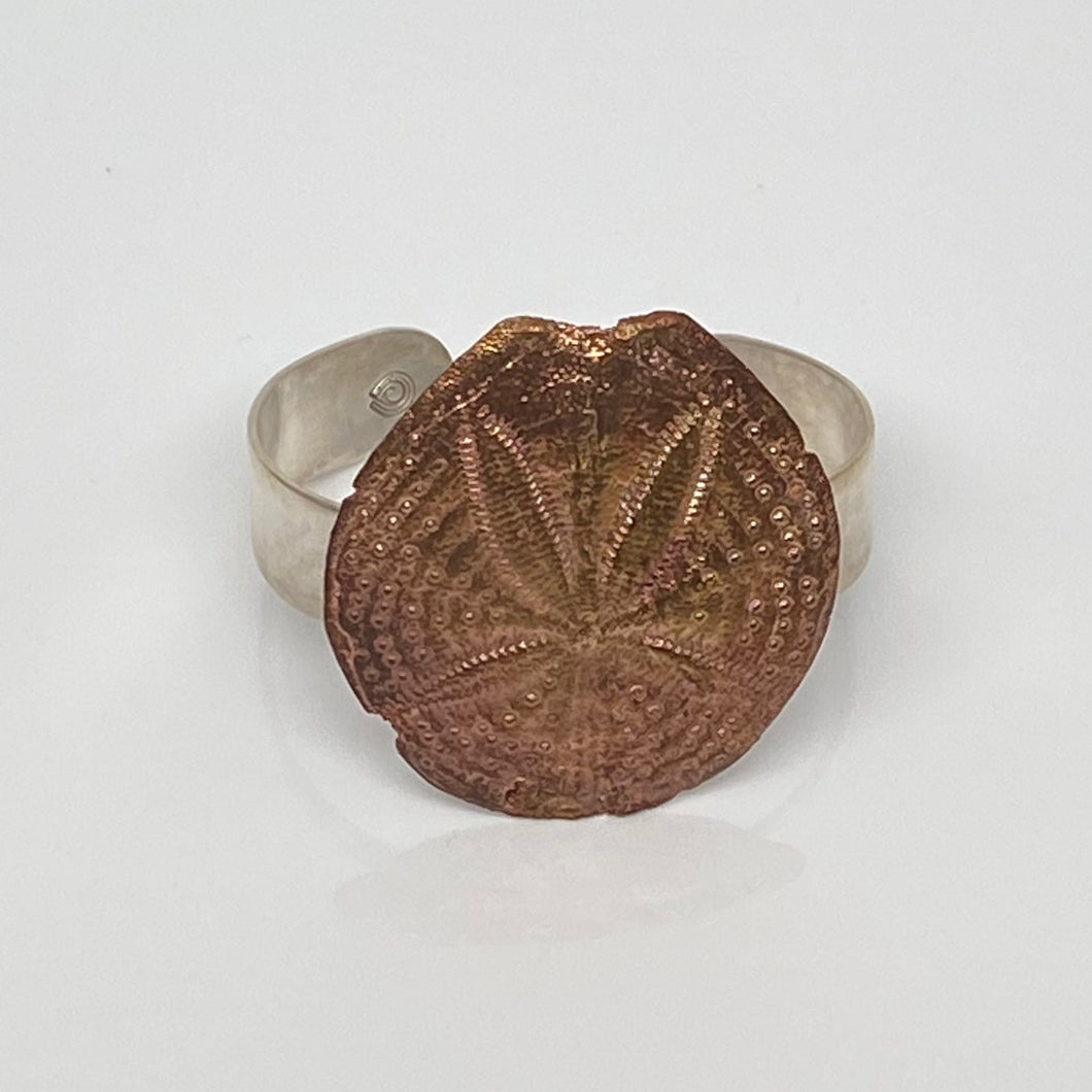 Sand Dollar Bracelet Cuff