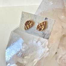Load image into Gallery viewer, Coral stud earrings - Bronze and Silver

