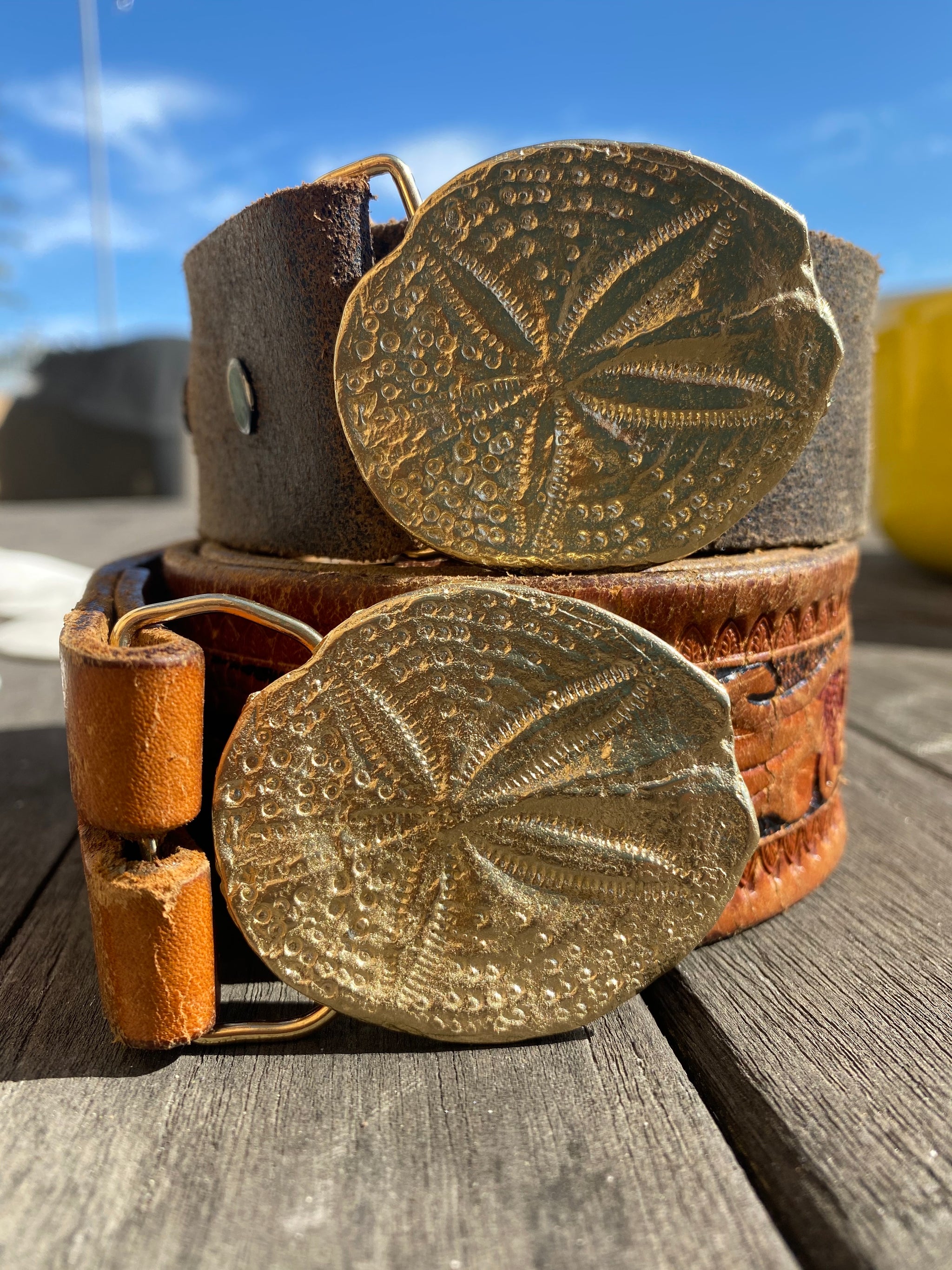 sanddollarbeltbucklesbronzeonb  display picture 3