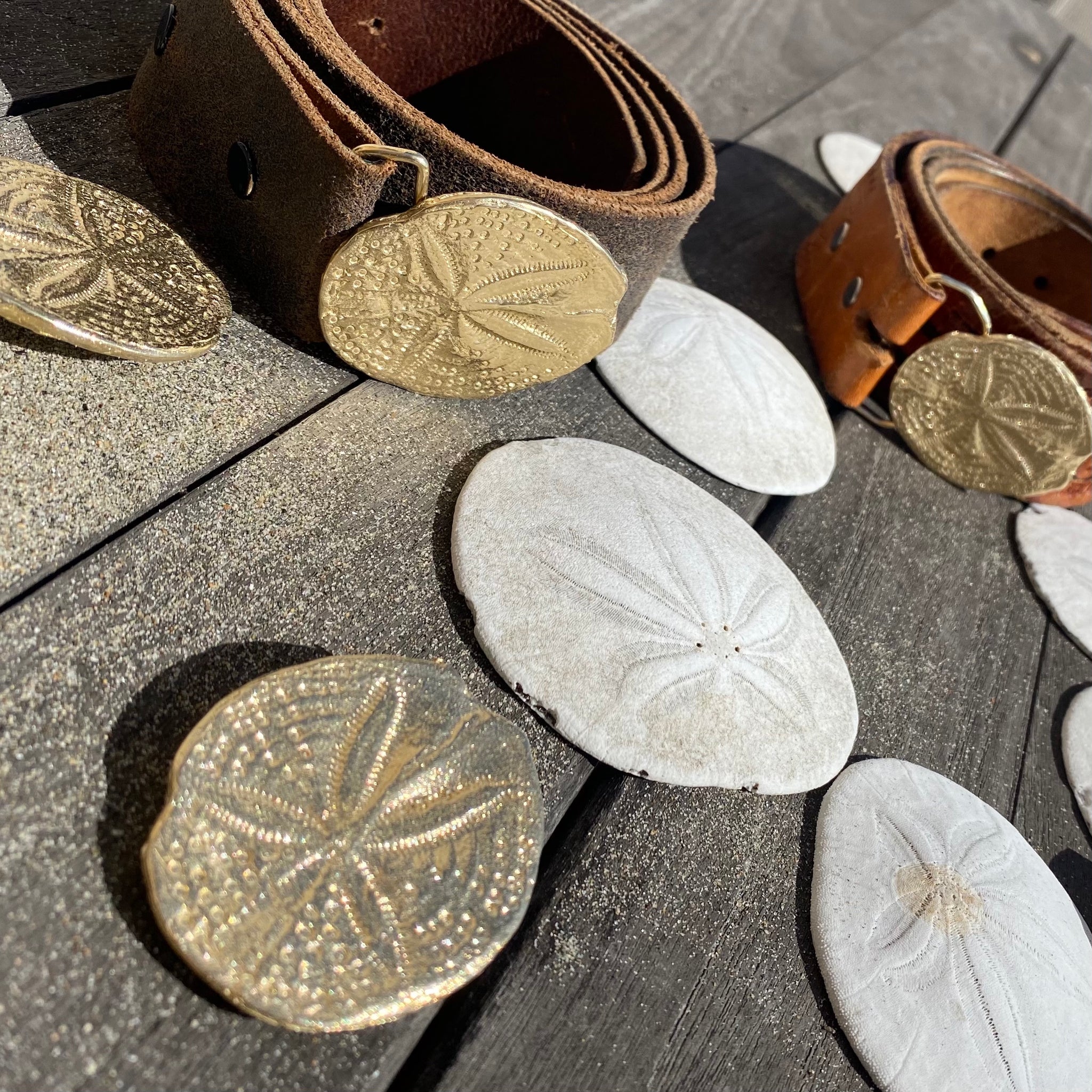 Vintage Adjustable Belt With Sand Dollar Buckle Sand Dollar Belt Buckle – Michal Designs main image 2